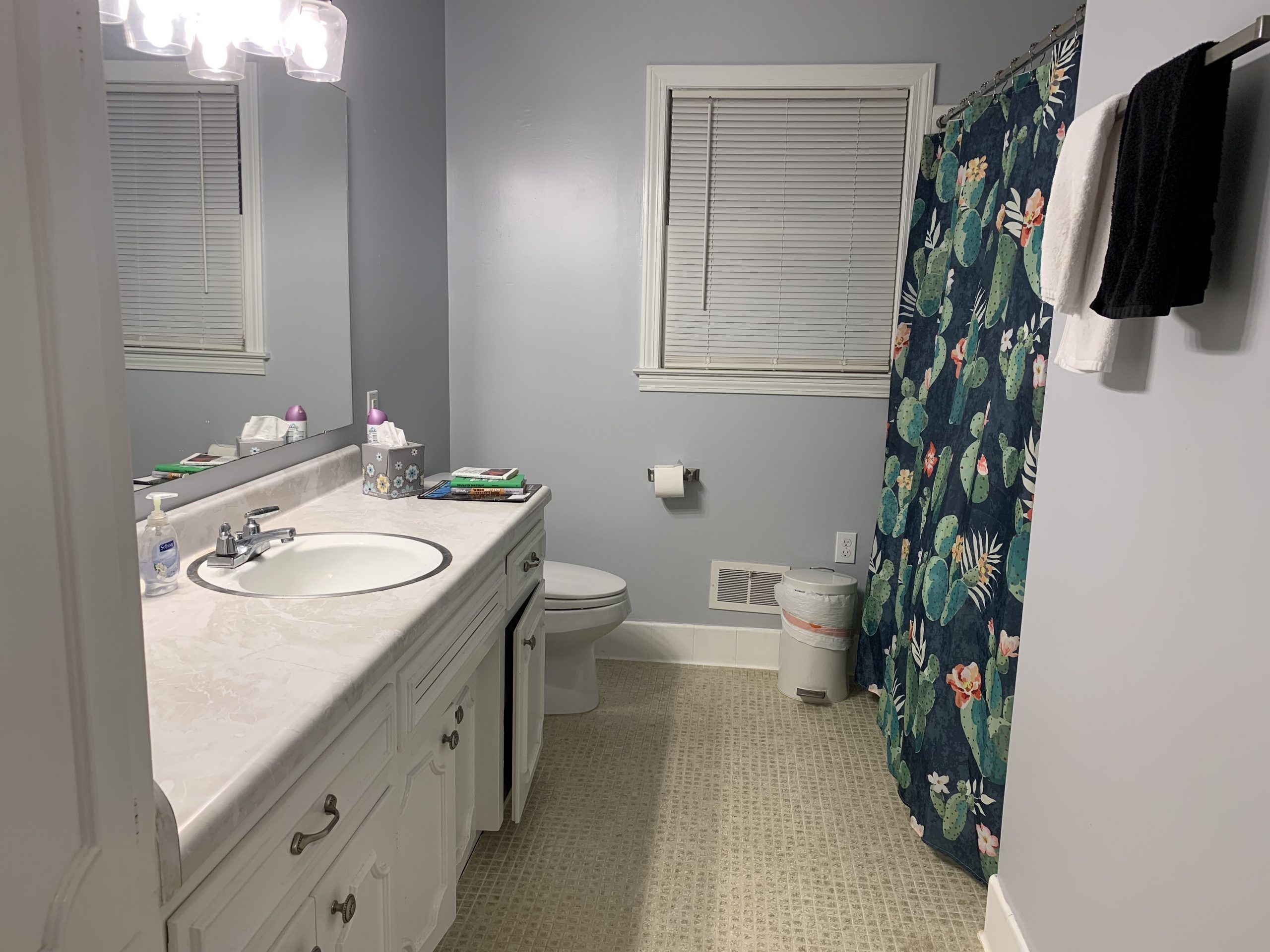 Large furnished suite downtown Greenville